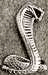 1968-1969 Cobra Snake Emblem Flat, Shelby fender emblem, stick on
