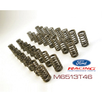 4.6 4V HIGH-LIFT VALVE SPRINGS: SET OF 32